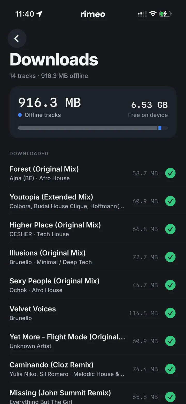 Downloaded tracks stored on the iPhone, with space used and space free